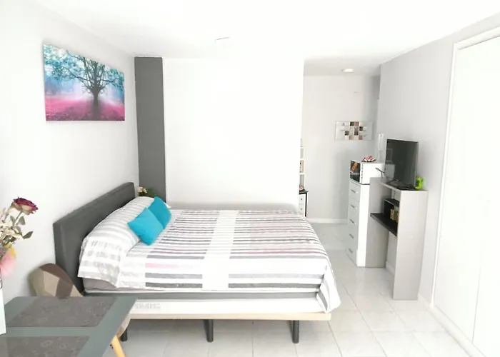 Estudio Emma Torrevieja