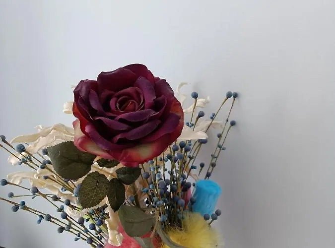 Appartement Estudio Emma