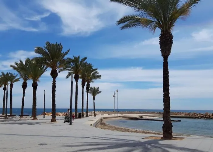 Estudio Emma * Torrevieja