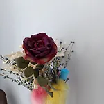 Διαμέρισμα Estudio Emma