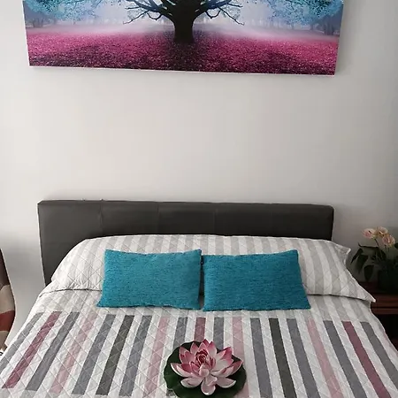 Apartamento Estudio Emma