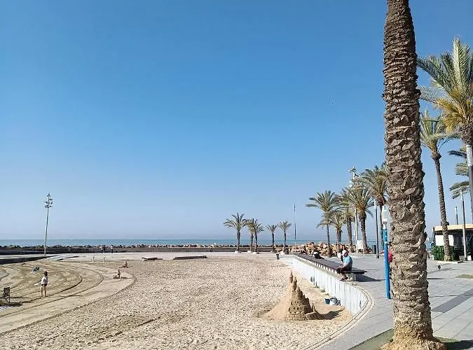 Estudio Emma * Torrevieja